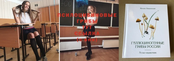СК Алексеевка