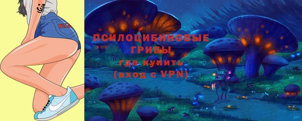 Альфа ПВП Алексин