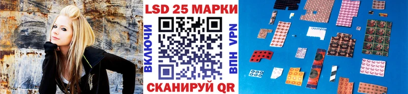 даркнет телеграм Цимлянск Марки NBOMe 1,8мг